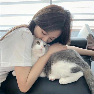 口碑经典