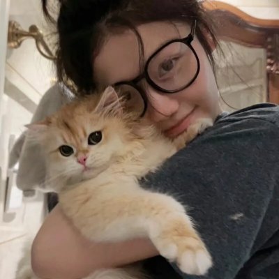 猪猪侠